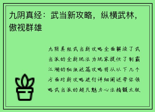 九阴真经：武当新攻略，纵横武林，傲视群雄